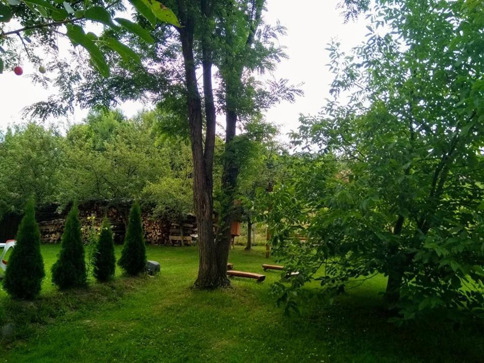 Casa Lacul Mierlei Hotel Sovata Bagian luar foto